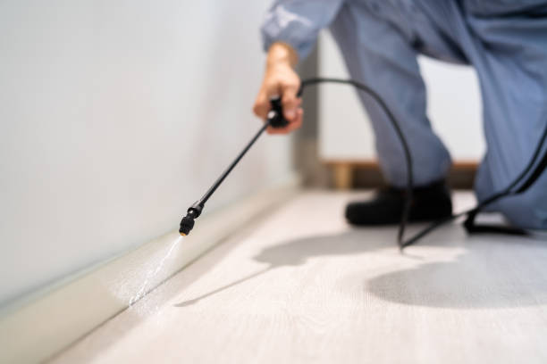 Licensed Cockroach Control service in Salinas, CA - Nex Pest Control