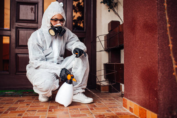 Reliable Cockroach Control contractor in Salinas, CA by Nex Pest Control